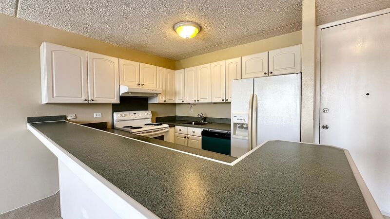 Chateau Waikiki AVAILABLE NOW - Pet Friendly, Washer/Dryer, Lanai, Central AC INCLUDED!! property image