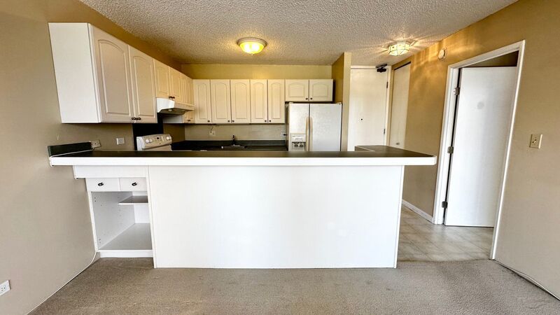 Chateau Waikiki AVAILABLE NOW - Pet Friendly, Washer/Dryer, Lanai, Central AC INCLUDED!! property image